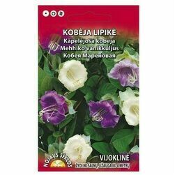 kapelejosa-kobeja