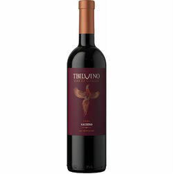 s-vins-tbilvino-sachino-pussausais-11-0-75l