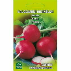 seklas-redisi-carmen-5g